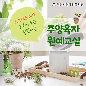 [7월 뉴스레터] 주양육자원예교실