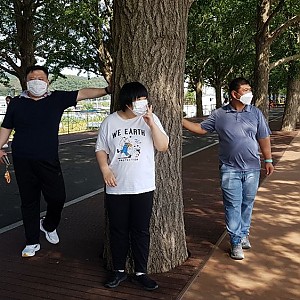 주말보호-은행나무길산책