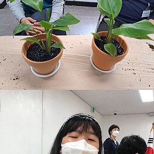 싱그러운 봄을 심어요~~