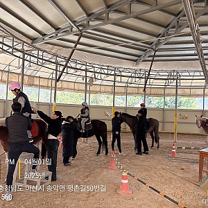 ★재활승마★
